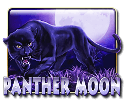 Panther Moon - Judikiss8