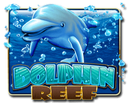 Dolphin Reef - Judikiss8